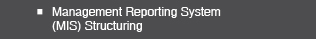 Management Reporting Systeming (MIS) Structuring